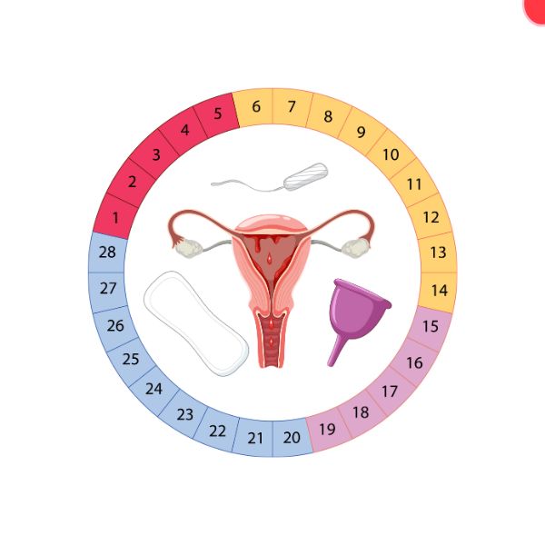 ĐA NANG BUỒNG TRỨNG, TRỨNG KÉM PHÁT TRIỂN